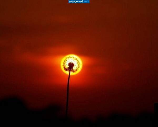 Вячеслав Гришин | Череповец