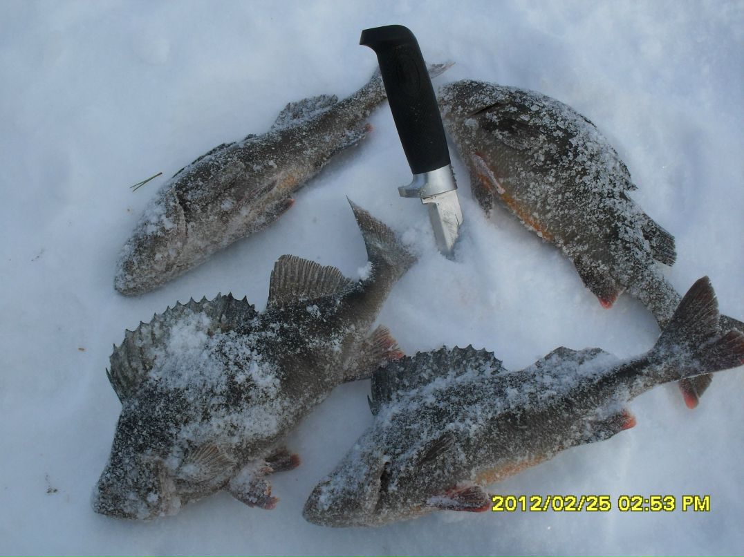 Денис Назаров | Мурманск