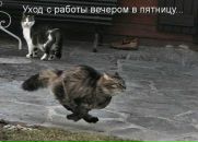 №12 Надежда Силантьева 21.10.1989: профиль, фото, статус - ВКонтакте №12 Надежда Силантьева 21.10.1989: профиль, фото, статус - ВКонтакте