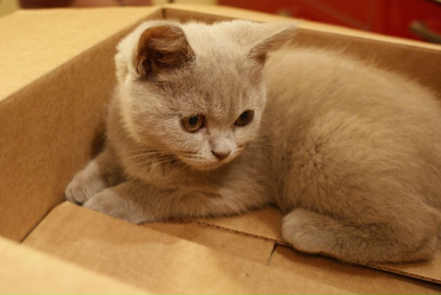 №3, Катерина Гребенюк, Санкт-Петербург №3, Катерина Гребенюк, Санкт-Петербург