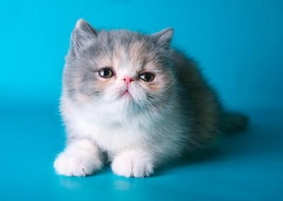 Мария Рассохина | Барнаул