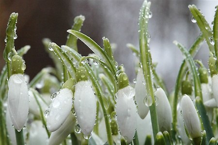 №36, Алена Rolexx, 40 лет, Киев №36, Алена Rolexx, 40 лет, Киев