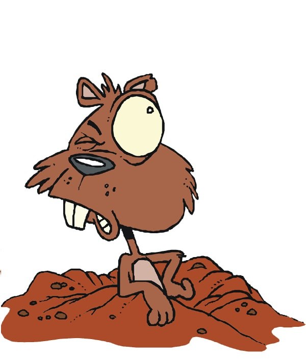 Даша Быстрова | Москва