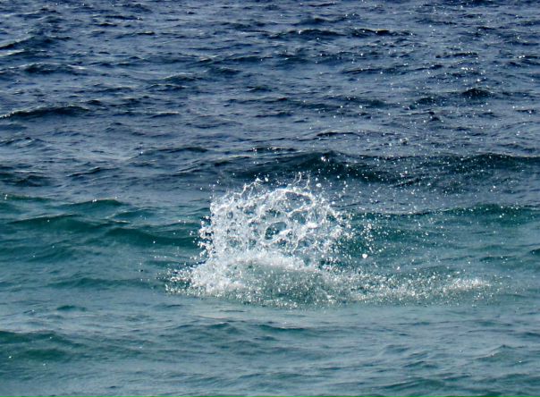 №36, Zhunya Ajx, 32 года, Санкт-Петербург №36, Zhunya Ajx, 32 года, Санкт-Петербург