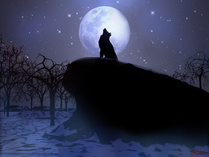 Али Гусейнов | Самара