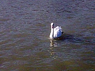 №67, Александр Персик, 27 лет, Судак №67, Александр Персик, 27 лет, Судак