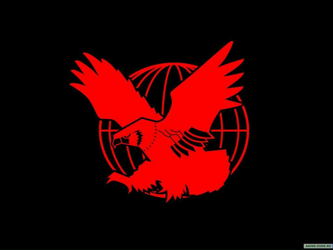 Илья Карпов | Братск