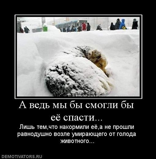 №11, Алевтина Пасечникова, Таганрог №11, Алевтина Пасечникова, Таганрог