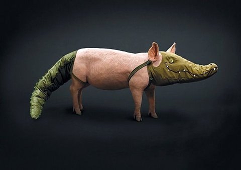 Артем Nosti | Краснодар