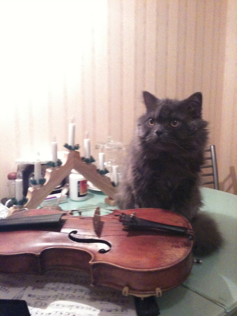 Gala Timofeeva | Oslo