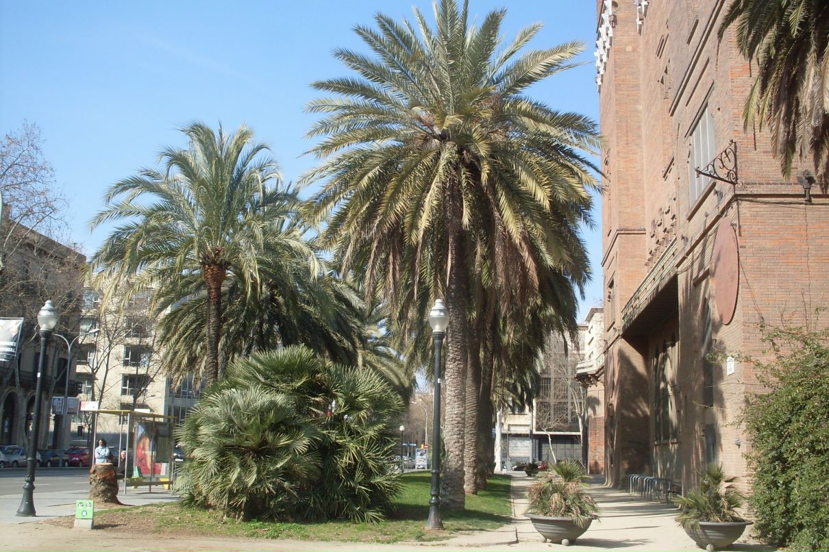 Алла Зубкевич-Задорожная | Молодечно