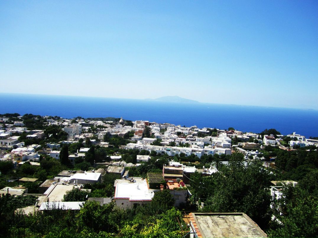 Регина Сагдеева | Новосибирск