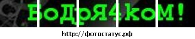 №31, Анастасия Заголдная, Новая Ляля №31, Анастасия Заголдная, Новая Ляля