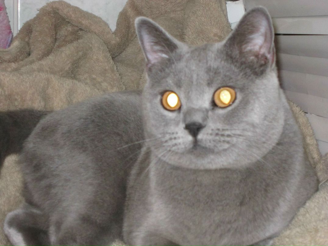 Ирина Цымбал | 