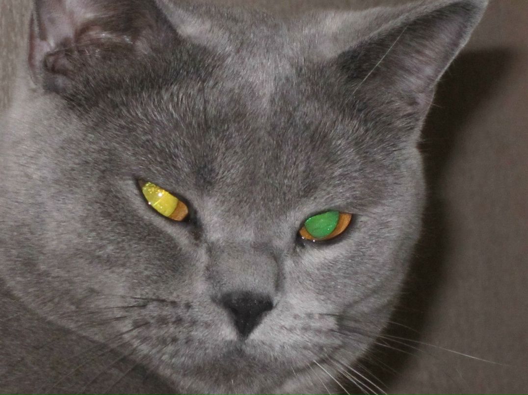 Ирина Цымбал | 