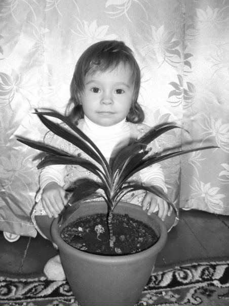 №156, Ольга Манисова, Москва №156, Ольга Манисова, Москва