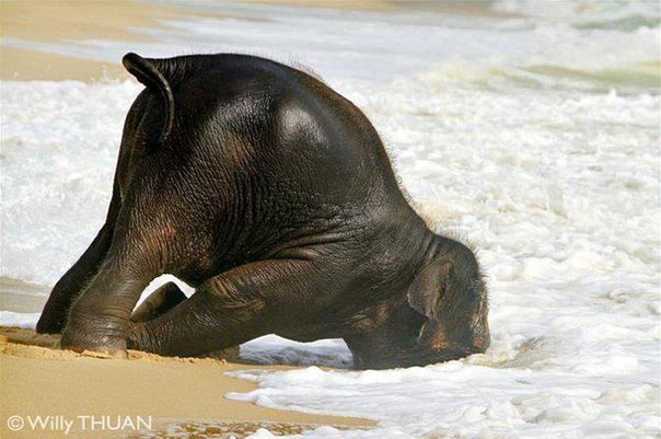 Александра Плэж | Москва