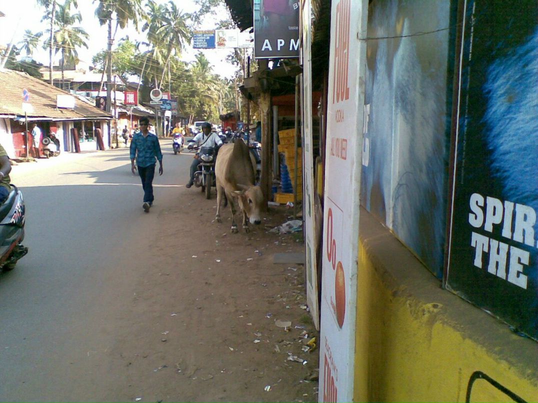 Александра Сашнева | Москва