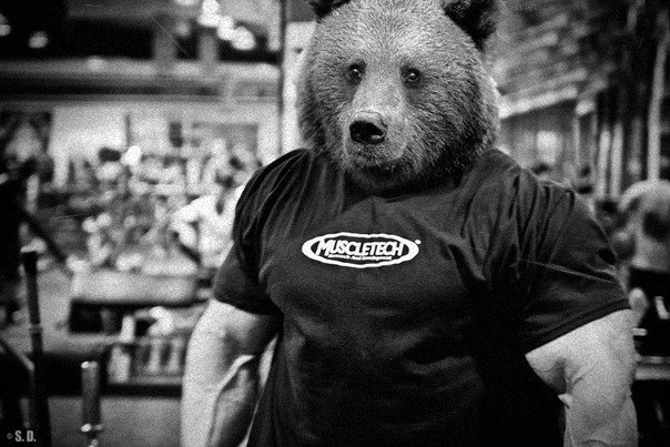 Александр Будаков | Покровск / Красноармейск