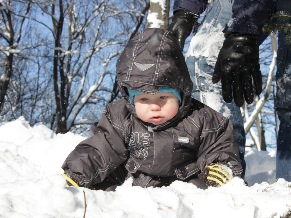 Андрей Лапий | 