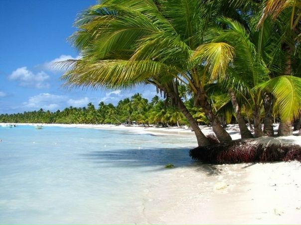 №4, Ирина Шестакова №4, Ирина Шестакова