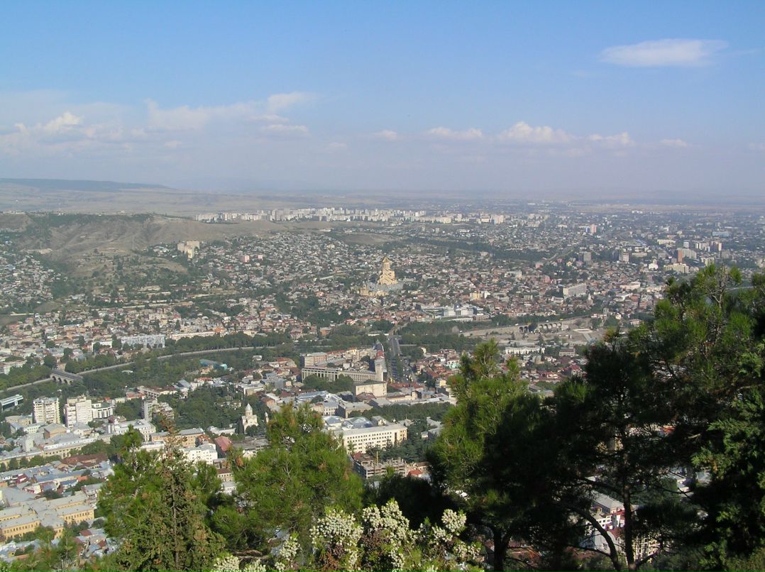 Елена Мидык | Одесса