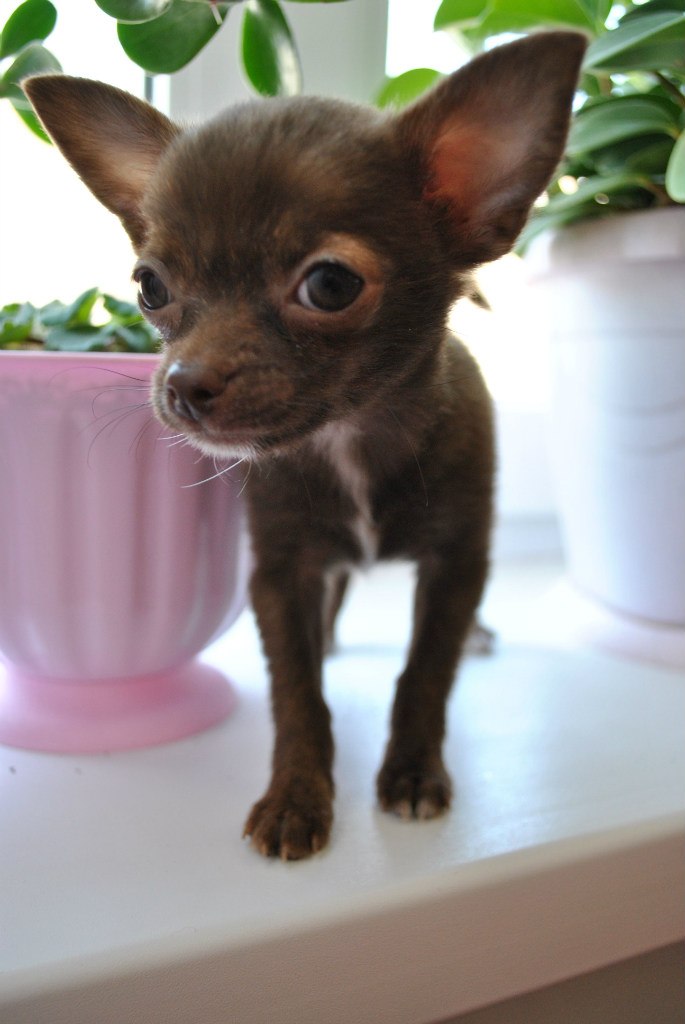 Людмила Маскальцова (Масква) | Находка