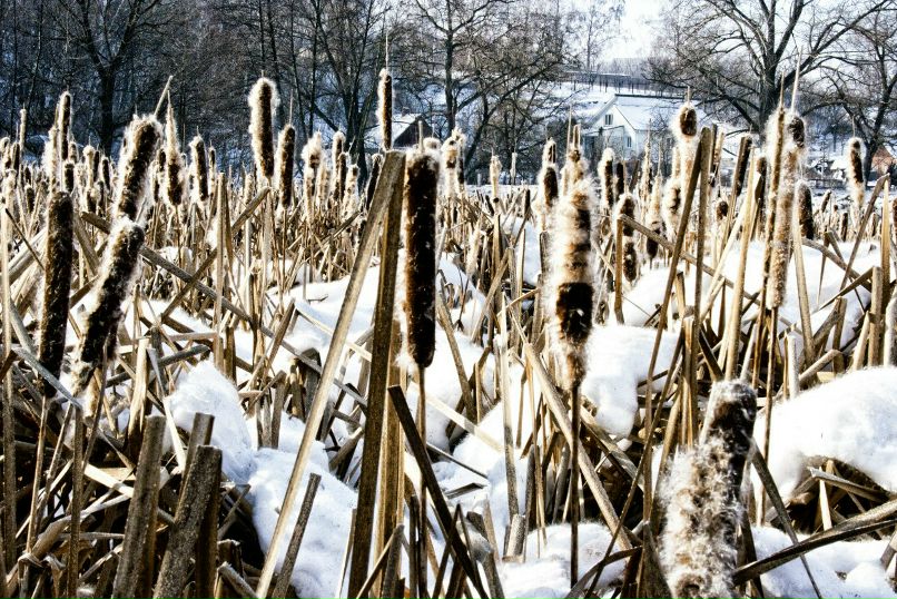 Місто Суми славної історії | Сумы