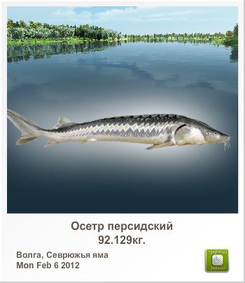 Алексей Смирнов | 