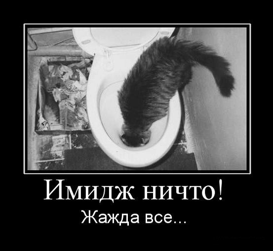 Вячеслав Московцев фото профиля #24