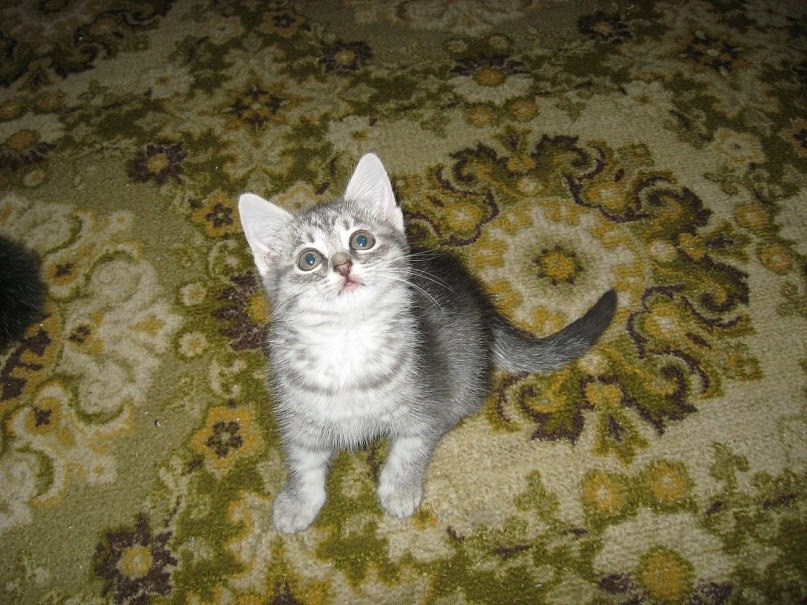 Татьяна Перегонцева | Самара