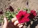 Верунчик Боброва фотография #23