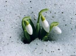 Ирина Ляховская | Ачинск