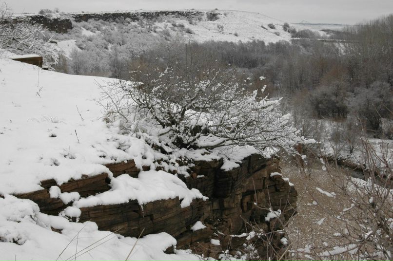 Светлана Шестова | Донецк