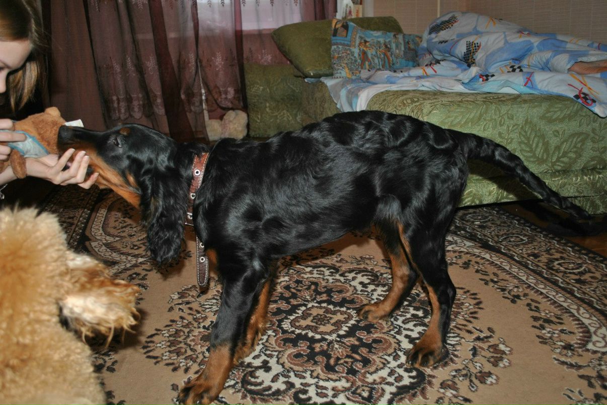 Александра Трипольская | Москва