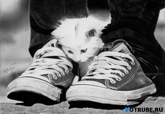 Егор Троян | Волгоград