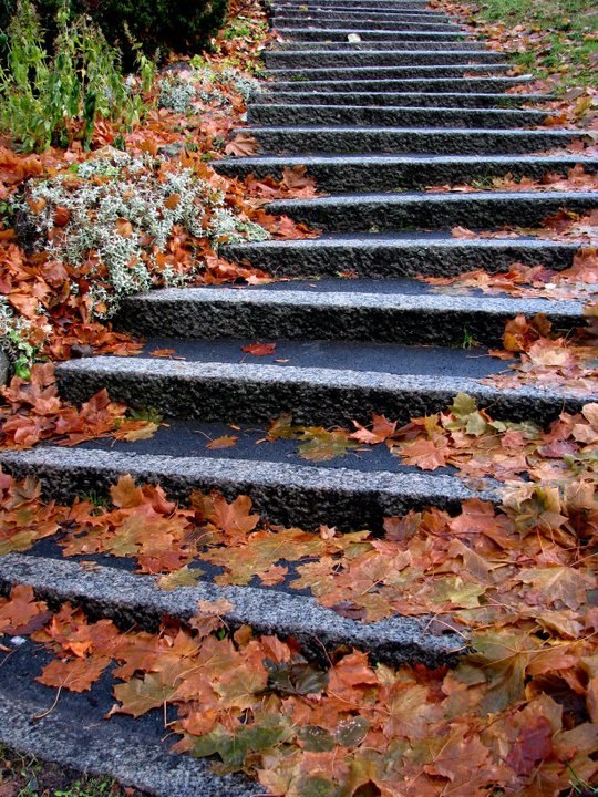 Svetlana Sapozhnikova | 