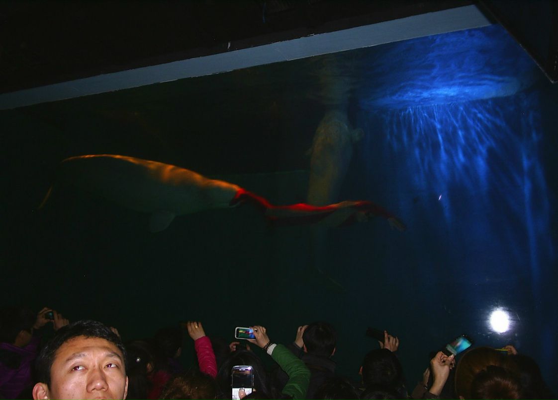 Сергей Пономарев ˙·٠✈ | Новосибирск