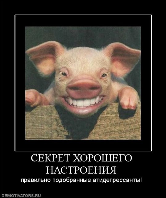 Паша Ручин | Орёл