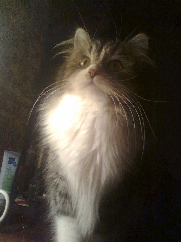 Катя Кузина | Старопохвистнево