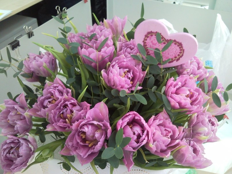 Вера Бушуева | Новосибирск