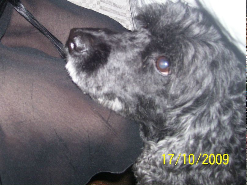 Сергей Ельцын | Волхов (поселок)