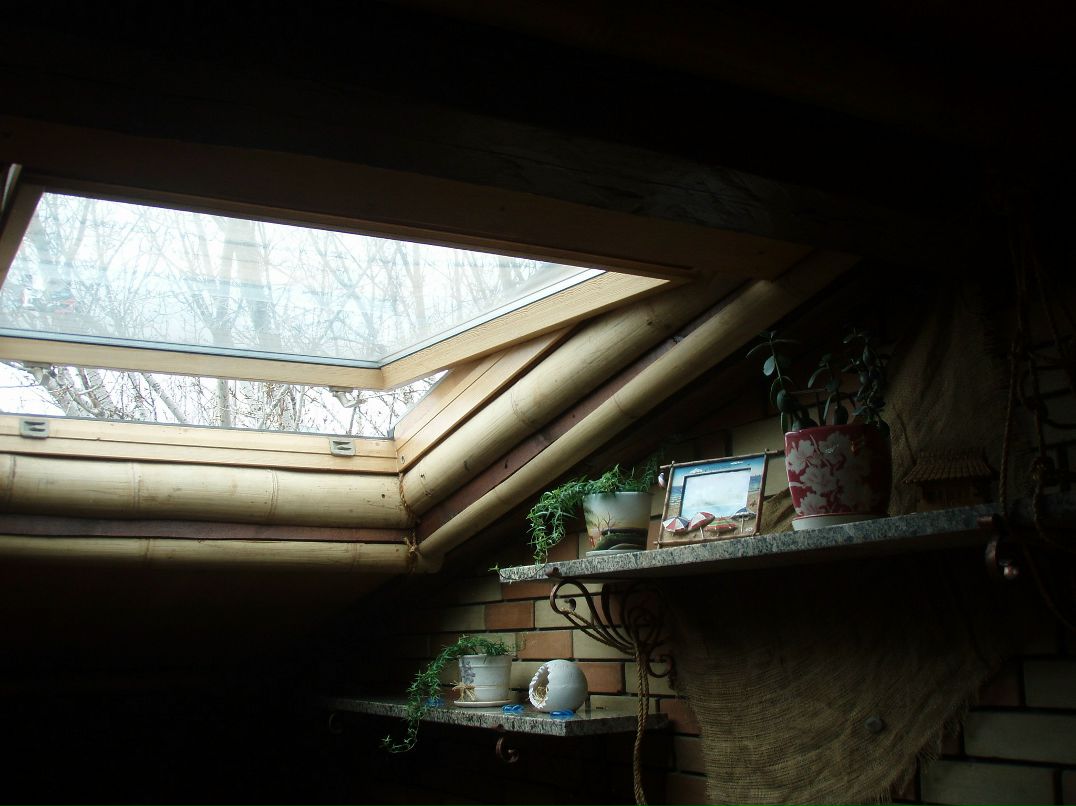 Елена Пархоменко | Днепр (Днепропетровск)