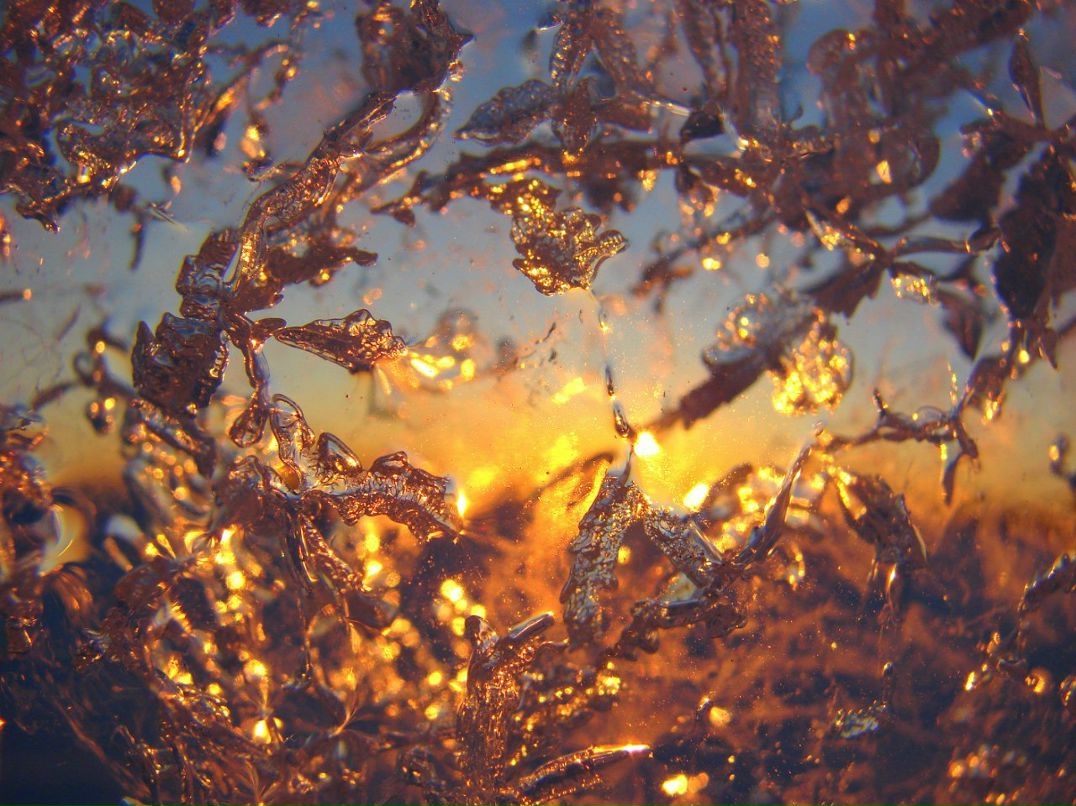 Роман Печерский | Самара