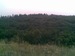 Альбина Цветаева фотография #31 (источник - https://vk.com/id141931513)