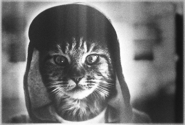 Никита Фоминых | Екатеринбург