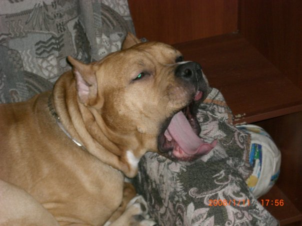 №156, Екатерина Метельская, Санкт-Петербург, Россия №156, Екатерина Метельская, Санкт-Петербург, Россия