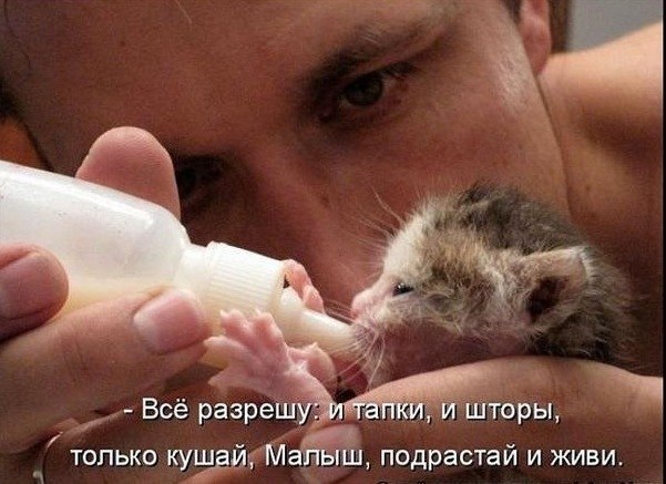 Мария Иванова | Москва