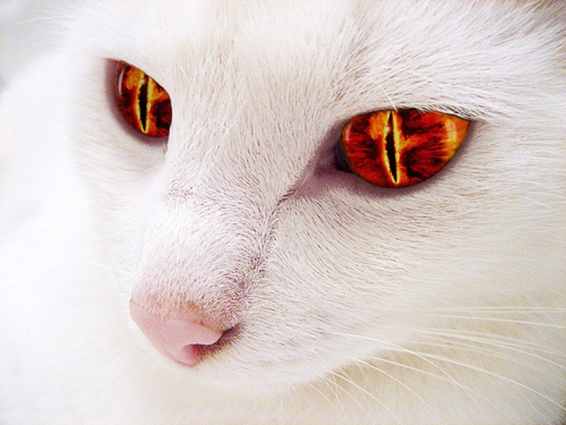 Hellen Новикова | Москва