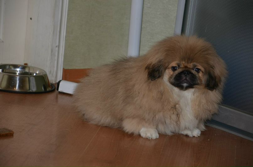 Николай Никонов _Юрич_ | Тюмень